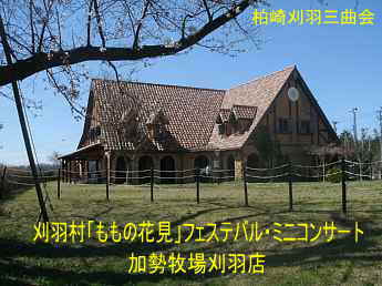 「ももの花見」フェステバル・ミニコンサート・加勢牧場刈羽店内、柏崎刈羽三曲会